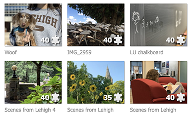screenshot of Lehigh digital puzzles